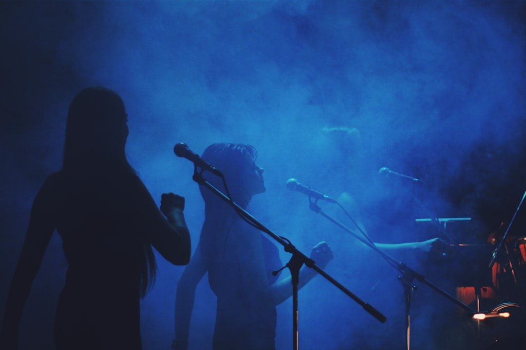 singer performing live on stage